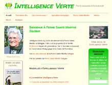 Tablet Screenshot of intelligenceverte.org